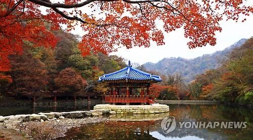 내장산 단풍