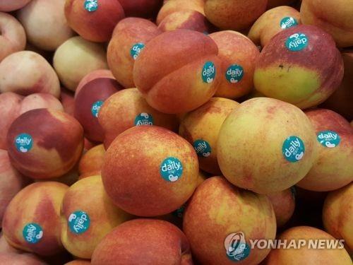 경북사과