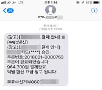 가짜 결제 메시지