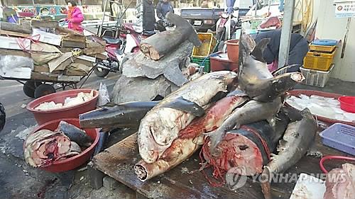 상어고기(경북 포항 죽도시장)