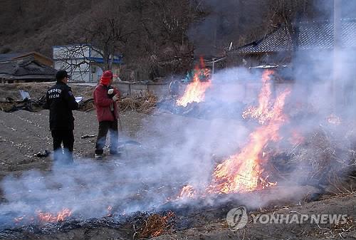 불법소각 단속하는 산불감시원