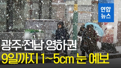 전남 대설주의보 모두 해제…9일까지 1∼5cm 더 내려(종합) - 1