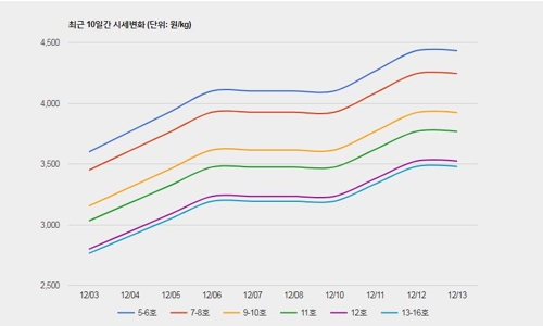 이달 1∼13일 닭고기 시세