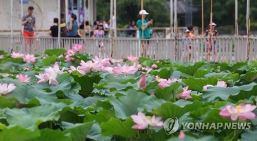 전주 덕진공원 연못
