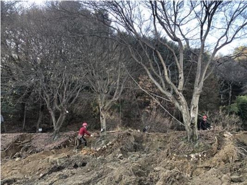 기증 수목 옮기는 작업