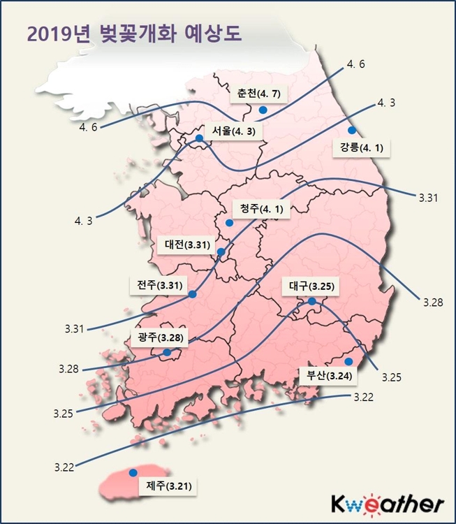 2019년 벚꽃 개화 예상도