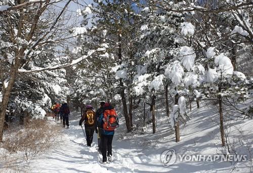 춘설 내린 선자령