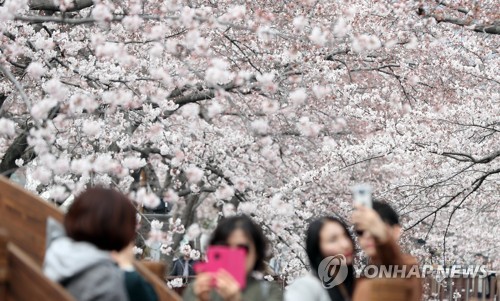 보는 즐거움, 봄의 기쁨