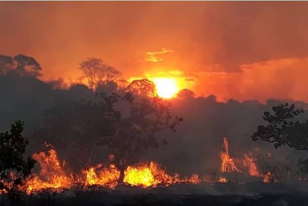 브라질 북부 호라이마 주의 상 마르쿠스 원주민보호구역에서 불길이 치솟고 있다. [브라질 뉴스포털 UOL] 