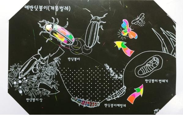 반딧불이 스크래치 페이퍼