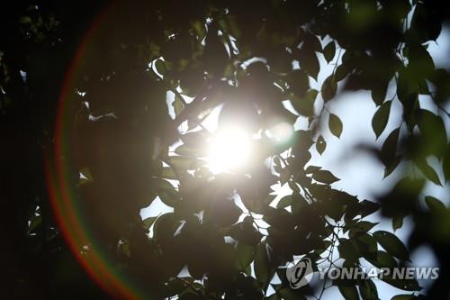 광주 도심에 내리쬐는 뙤약볕