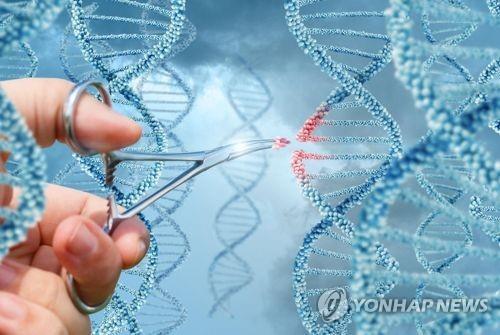 유전자 편집