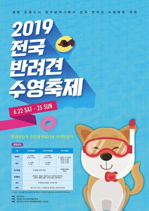 반려견 수영축제 포스터