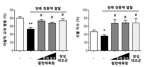 황련해독탕 혈관성 치매 동물 인지능력 개선 그래프