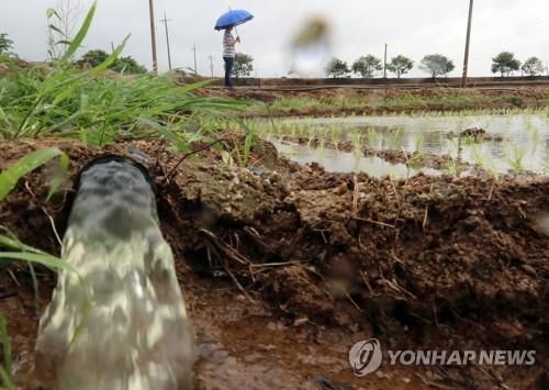 대지 적시는 장맛비