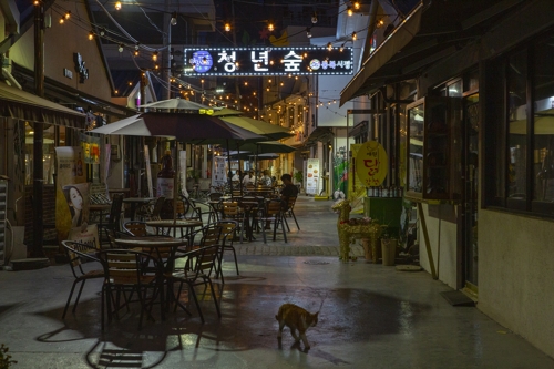 평택 통복시장 청년숲