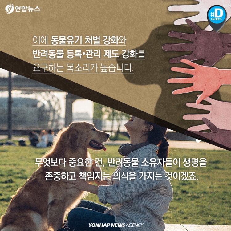 [카드뉴스] "가족이라면서요"…1년에 12만 마리의 동물이 버려진다 - 9