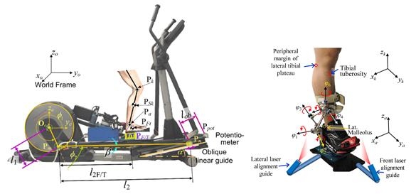 개발된 무릎관절염 진단 및 재활 훈련 로봇 시스템