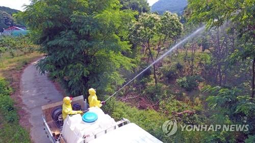 돌발해충 방제작업