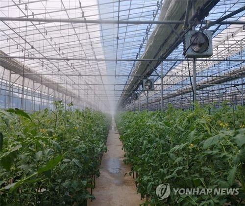 전력 공급이 필요한 비닐하우스 농사 설비