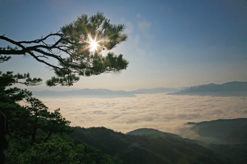 곡성군 동악산
