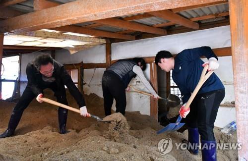 한글날인 9일 삼척지역 태풍 피해 복구작업