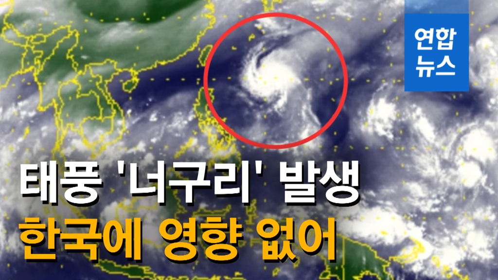 [영상] 소형급 태풍 제20호 '너구리' 발생…한국엔 영향 없어 - 2