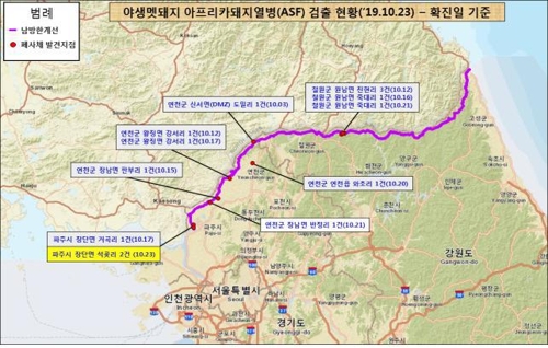 야생 멧돼지 아프리카돼지열병 검출 현황