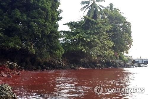 지난 8월 파푸아뉴기니 해안에 유출된 니켈공장 슬러리