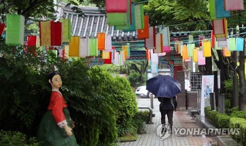 비 내리는 전주 덕진공원