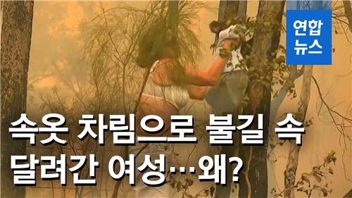 [영상] 코알라 구하려 티셔츠 벗어 불길 속 달려든 여성 - 2