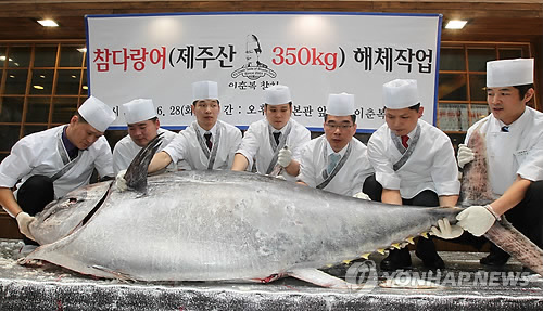 제주산 350㎏ 참다랑어