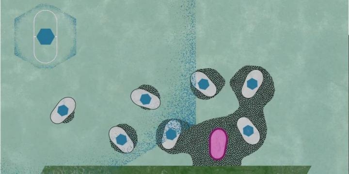 세균의 상호 공조를 막아 생물막을 제거하는 항균 물질(좌상)