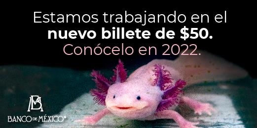 멕시코 중앙은행 "새 50페소 지폐, 2022년에 만나요'