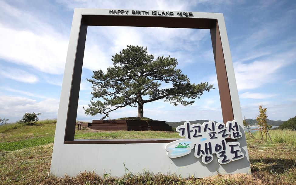 완도 생일도