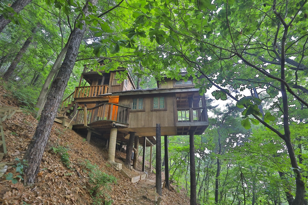 숲에 둘러싸인 트리하우스 톰 소여 [사진/성연재 기자] 