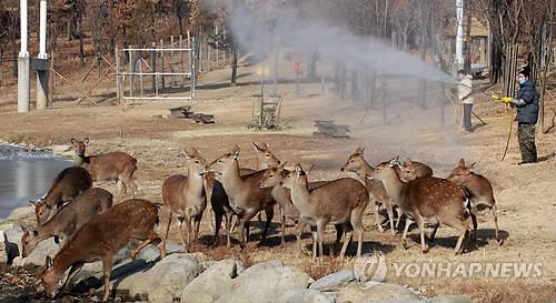 사슴 구제역 예방