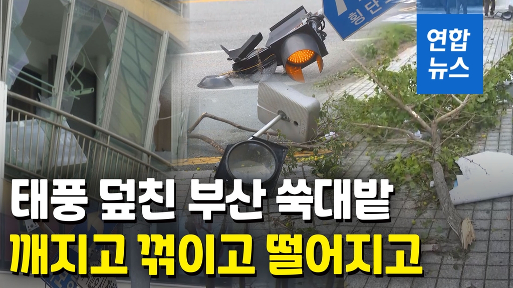 [영상] 외벽 뜯겨나가고 유리창 '와장창'…역대급 태풍에 부산 쑥대밭 - 2