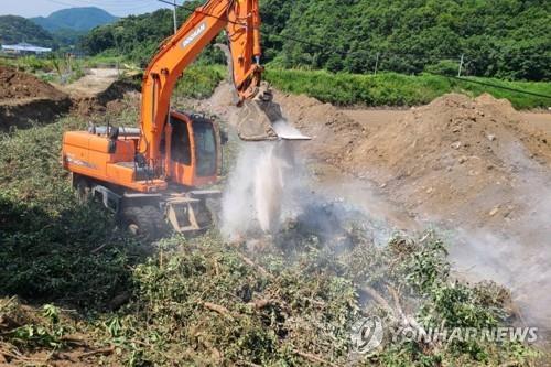 과수화상병에 걸린 나무 매몰하는 모습