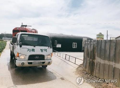 겨울 가축 전염병 특별방역