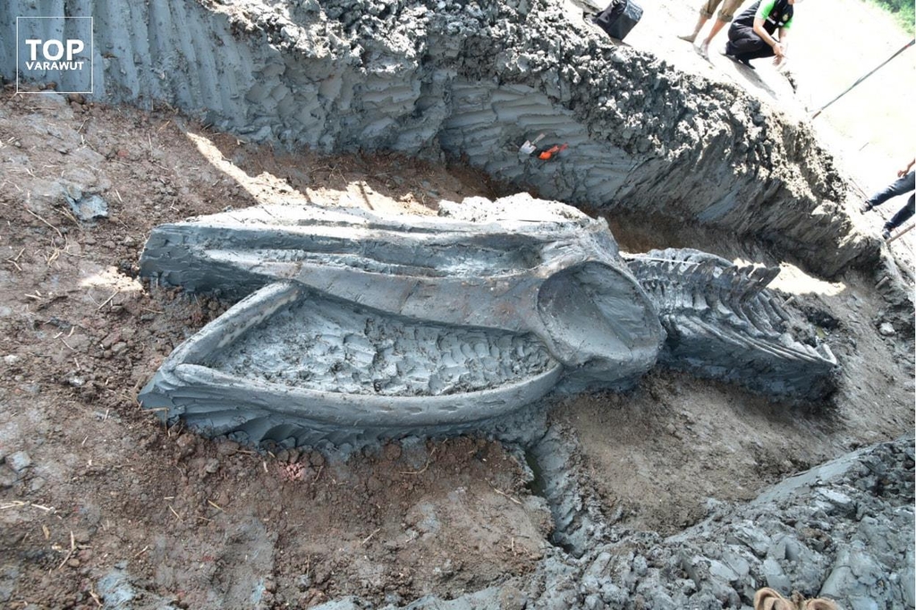 태국 해안에서 12㎞ 떨어진 곳에서 거의 완벽한 상태로 발견된 고래 뼈