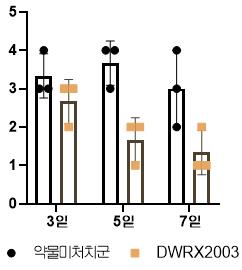 감염 3, 5, 7일차에 폐 조직병리 시험 결과. 점수 높을수록 병변이 심각.