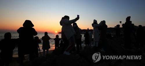 코로나19 확산하는데 일출 명소는 '북적'