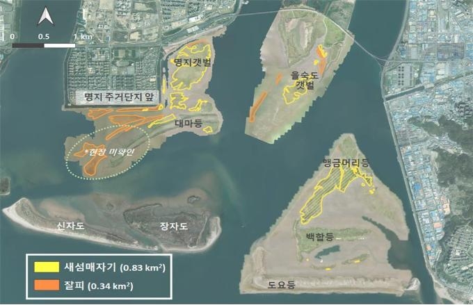 드론으로 파악한 낙동강 하구 새섬매자기, 잘피 군락