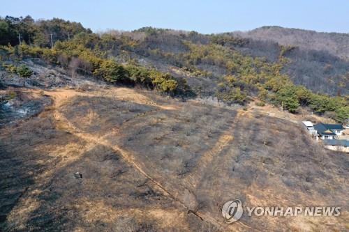 산불 조심