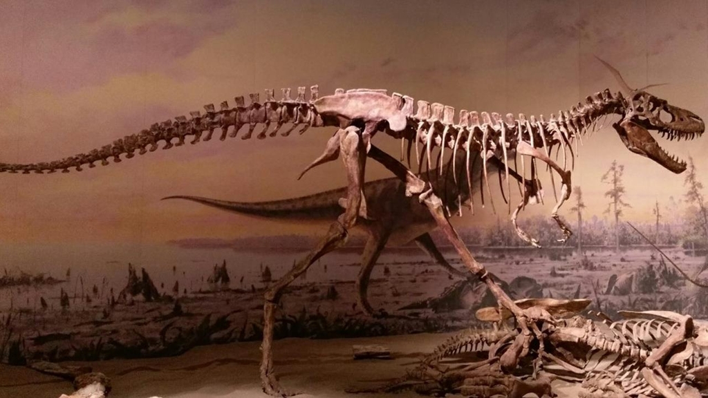 '10대' 육식공룡 화석 