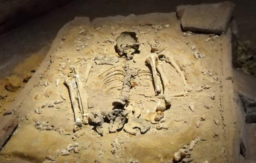 1만1천년 전 유골 말레이시아 '페락맨'