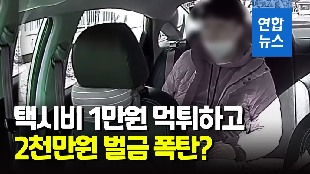 [영상] 택시비 떼어먹고 도망…블랙박스에 찍힌 얼굴 어쩌나 - 2