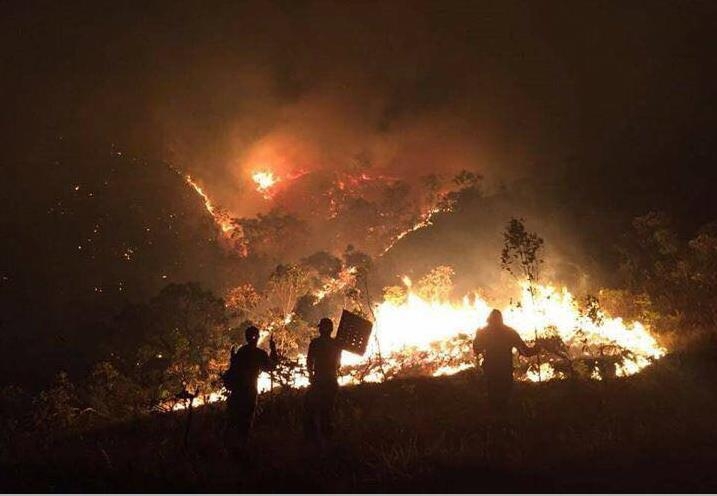 브라질 중서부 삼림 지역에서 열흘째 화재가 계속되면서 주민과 관광객 수백명이 대피했다. [WWF 브라질 사무소 제공, 재판매 및 DB 금지]