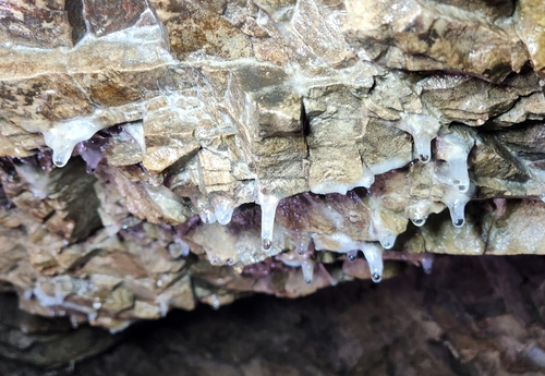 부평 지하호에서 발견된 종유관